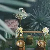 Momo Geisha