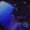 samurai x
