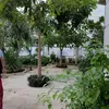 Rumah Frans Faisal