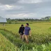 Dhini Aminarti dan Dimas Seto