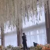 Pernikahan Chen EXO