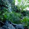 Rumah Baim Wong