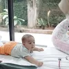Irish Bella dan Ammar Zoni