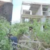 vila momo geisha, rumah momo geisha, berita momo geisha