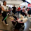 Dog Lovers