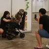 Dog Lovers