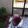 rumah seleb, rumah lesty kejora