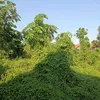 Rumah Genta Buana