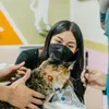 Potret Ariel tatum memberi makan kucing.