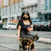 Potret Ariel tatum memberi makan kucing.