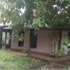 kampung artis sekarang, berita kampung artis, potret kampung artis
