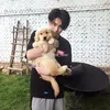 dylan wang