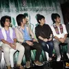 d masiv
