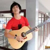 d masiv