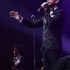 d masiv, java jazz