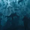 NOAH