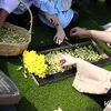 Lebaran Emil Dardak &amp; Arumi Bachsin