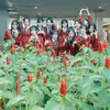 Fakta JKT48
