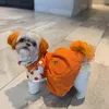 Anjing Farah Quinn pakai kostum