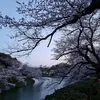 Fashion Syahrini di Jepang