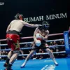 Olahraga Tinju Artis, sportainment, viral, tinju antar artis, olahraga