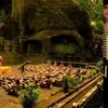 Film Syuting di Indonesia