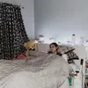 Perjuangan Selebgram Laura Anna Semasa Hidup