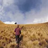 Erri Yunanto - Pendaki jatuh di kawah Merapi