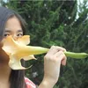 Sally Valencia - Kaesang Pangarep