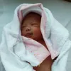 Anak Gading Marten