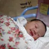 Anak Gading Marten
