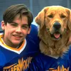 Apa Kabar Kevin Zegers Air Bud