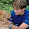 Apa Kabar Kevin Zegers Air Bud