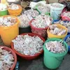 barang selundupan, foto unik, kumpulan barang yang diselundupkan