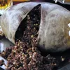 barang selundupan, foto unik, kumpulan barang yang diselundupkan