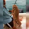 hal mengerikan di laut, foto unik, foto mengerikan