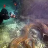 hal mengerikan di laut, foto unik, foto mengerikan