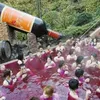 foto aneh, foto lucu, hal unik di kepang, hal aneh di jepang