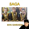 saga, saga music festival, meme saga, meme kepanjangan saga