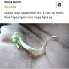 foto unik, foto aneh, foto lucu, foto keren