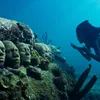 penemuan bawah laut, penemuan mengerikan, foto misteri