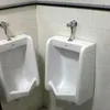 arsitektur fail, gambar fail, foto lucu, gambar lucu