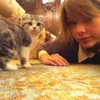 Taylor Swift The Cat Queen of Instagram