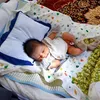 Foto Acara Aqiqah dan Sunatan Anak Ustaz Abdul Somad