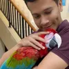 Foto Adam Jordan Bareng Burung Kesayangannya