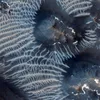 Air Mengalir di Planet Mars