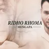 Ridho Roma Narkoba