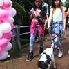 anak ariel, putri ariel, alea anak ariel, anak artis, anak selebritis