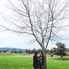 Sammy & Viviane Mesra di Australia