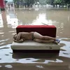 Foto banjir di China